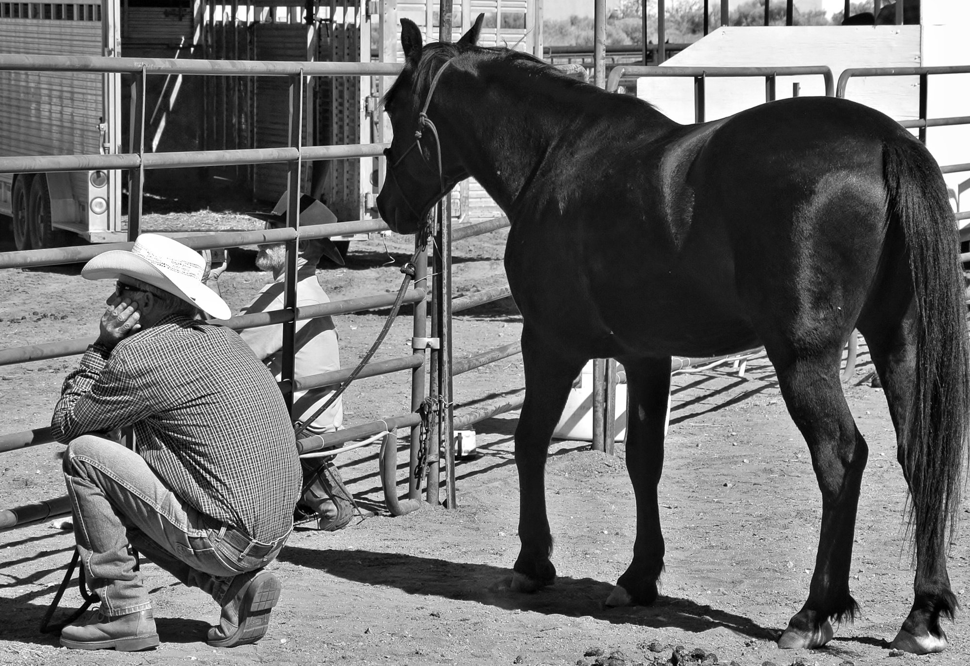 Horsemanship in action