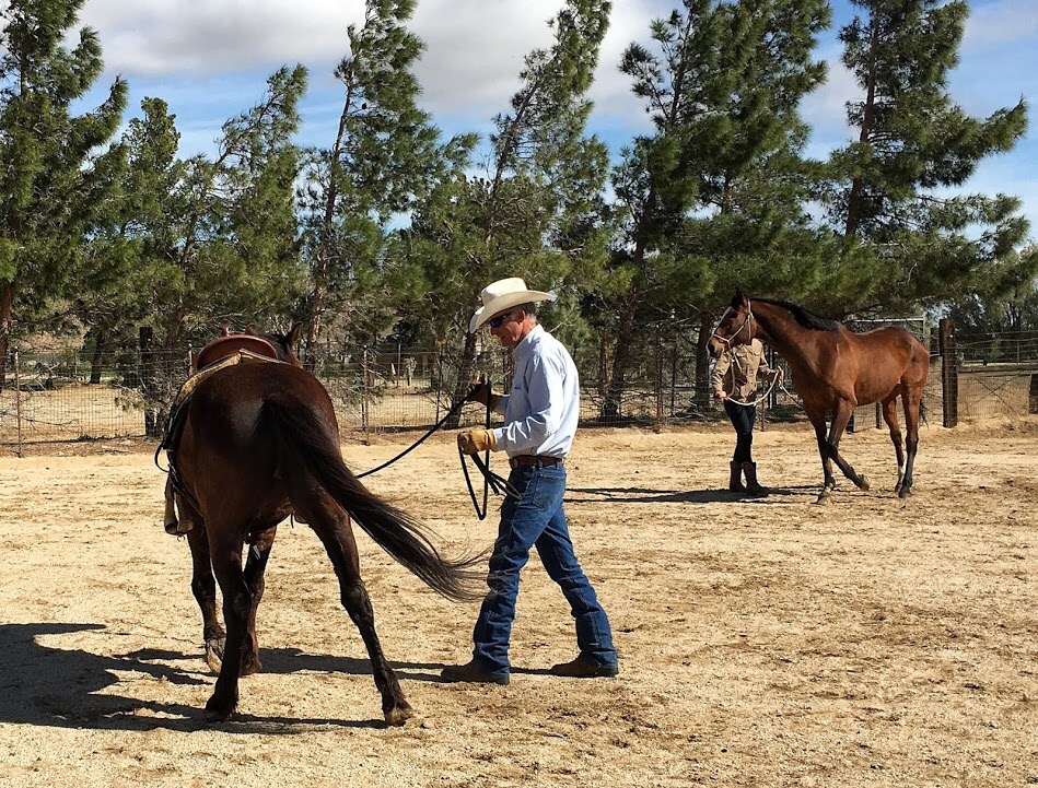 John leading a horse in the round pen